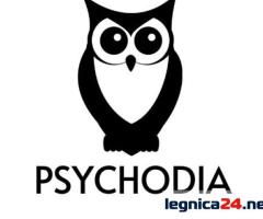 Kursy online na platformie KursyZdalne.com - Zdobądź dyplom