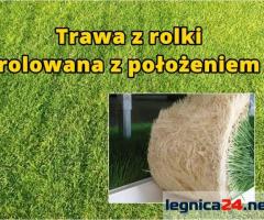 Trawa z rolki, rolowana z położeniem