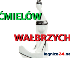 KUPIĘ FIGURKI ĆMIELÓW,WAŁBRZYCH,CHODZIEŻ,MIŚNIA TELEFON 694972047