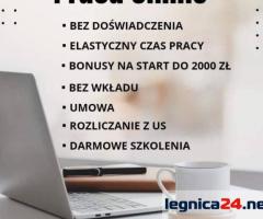 Praca stała lub dodatkowa zdalna, w domu, przez internet