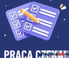 Ankieter - Praca Dodatkowa