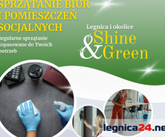 Profesjonalne sprzątanie biur, domów, mieszkań