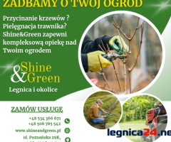 Profesjonalne sprzątanie biur, domów, mieszkań