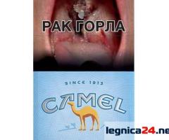 Papierosy Camel - Sklep z papierosami - papierosek.com