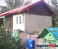 Działka ROD "ZORZA" w Ziemnicach k/Legnicy (PILNE)