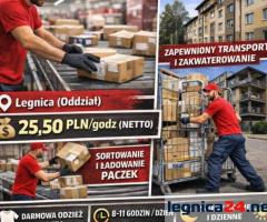 🚀 PRACA W MAGAZYNIE W LEGNICY – ZACZNIJ SZYBKO! 🚀
